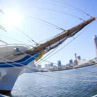 distorted Nippon Maru #03