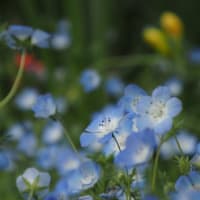 ブログデータの引っ越しが済みました