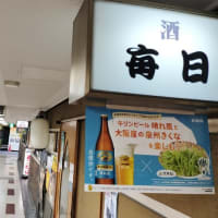 １年ぶり長居植物園。