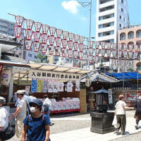 入谷朝顔まつり（朝顔市）