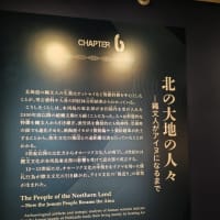 博物館浴（国立科学博物館「古代DNA　ー日本人のきた道ー」）
