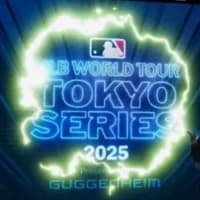 公式練習ゲット 東京ドームへ MLB  東京シリーズ ドジャース・カブス