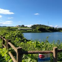 みよし：ため池巡り（13回；百々池）