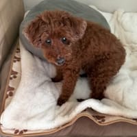 暑くて何にもしたくないけど、、、お仕事頑張ろうっと！