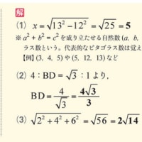 中学数学の重要ポイント解説　8（さくら教育研究所）