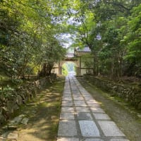 満願寺まで吹かれて｡｡