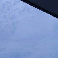 湿度すごい～