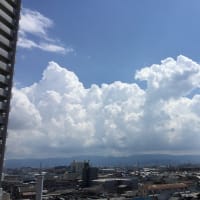 「雷・稲妻ショー」の後 待望の雨