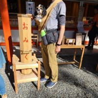 朱色の社殿が鮮やか｢熊野那智大社｣～GW三重和歌山旅行⑨