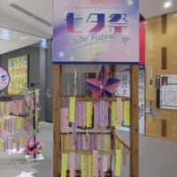 里芋の葉についた露