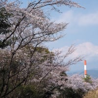 延岡ふるさと里山のチカラ再発見写真館NO 3096
