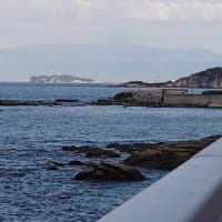 三浦100kmウルトラウォーキング