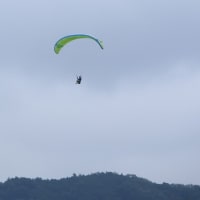 空に飛ぶ