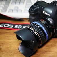 朝日の下Canonであさがお