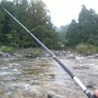 天然あまごが釣りたい！と渓流に行ってきました