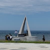 約30年ぶりの船釣りカレイは大漁