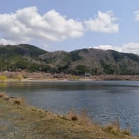 土師ダム散歩