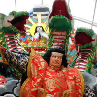 🧹🐍❼　    猛暑日・・・　炎の花　　何もしない定休日　　トカラ群発地震で最高震度５弱　　十島村ってどんなとこ？