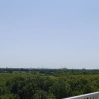 ウトナイ湖