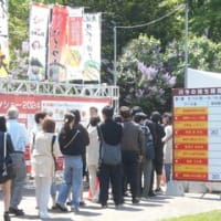 札幌では、今、ライラックが咲き誇り、大通公園では、「さっぽろライラックまつり」や「札幌ラーメンショー2024」が開催されています。いよいよイベントの季節になります