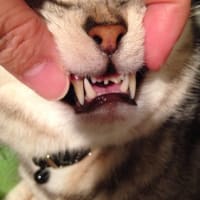 いざ、病院へ
