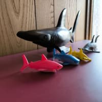 サメの模型を並べてみた