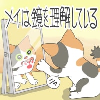 「メイは分かってる」