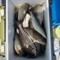 2号船、午前便、午後便イサキ釣り