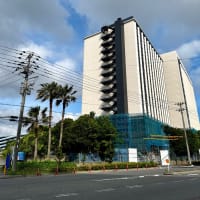 どデカいホテル🏨ディズニー用⁉️