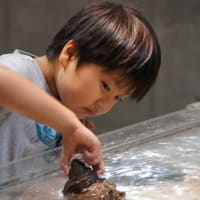 10月13日の優希＆睦貴