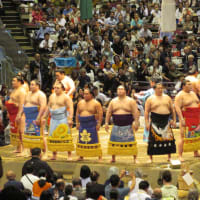 大相撲５月場所！