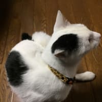 偶然のご対面