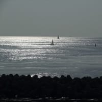 春の海