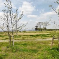 奈良田原本町の唐古鍵遺跡公園の整備進行情況