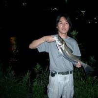 「スポーツフィッシング。東京ベイサイドへ行くぜ！３」