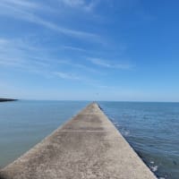 「癒される時も踏ん張る時も」