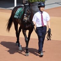 春競馬１５