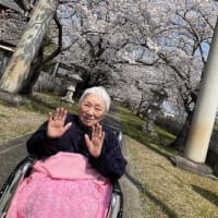桜のお花見に出かけました！！