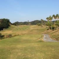 高知県に行きました。