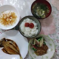 向き不向き