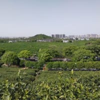 ｇｏｏブログ更新終了のお知らせ