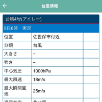 台風4号長崎県上陸