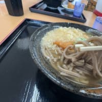 「どなんほんごう」でランチ