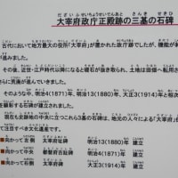 大宰府市の散策記　on　2025-4-9＆4-10　その8　大宰府展示館