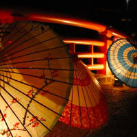 和傘　2/22