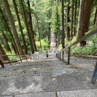 修験の場か、身延山久遠寺