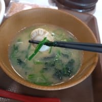 【すき家】生姜めかぶオクラ牛丼。