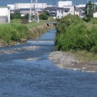2024神奈川河川ﾎﾟﾀﾘﾝｸﾞ『狩川』⑥要定川と洞川の合流