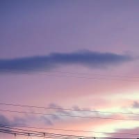 久しぶりに見た夕空