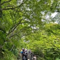 江ノ島から長谷寺へ